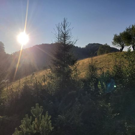 Forest Camp Dom W Gorach Sowich Michalkowa Екстериор снимка